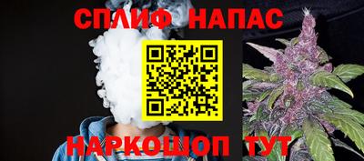 шишки Дубна