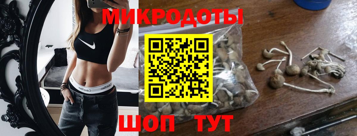 Междуреченск  Галлюциногенные грибы мицелий  Вход с VPN 
